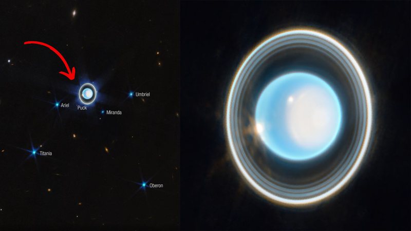 Fotografias mostrando Urano com seus anéis - Divulgação/ NASA