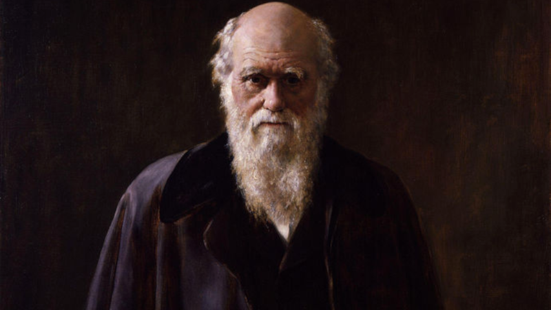Retrato de Charles Darwin - Wikimedia Commons