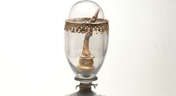 Dedo do meio da mão direita de Galileu Galilei que está exposto no Museu Galilei - Getty Images
