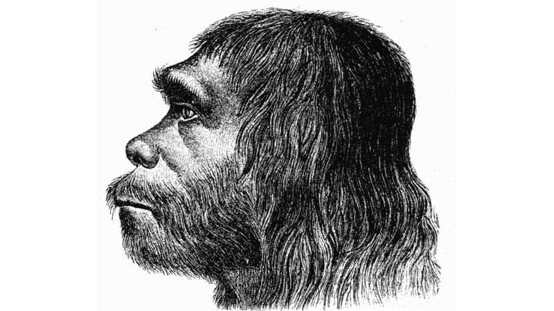 Reconstrução facial de um Homem de Neandertal - Wikimedia Commons