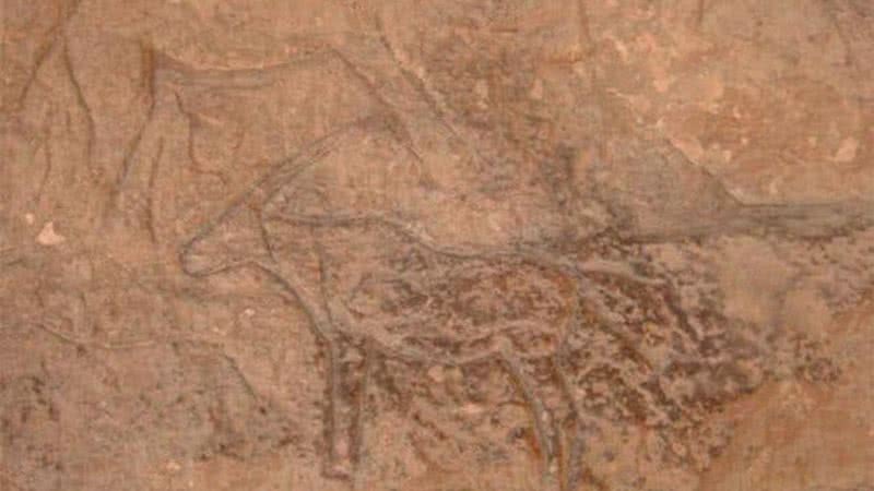 Estrutura de um cervo pintado em Wadi al-Zulma - Divulgação