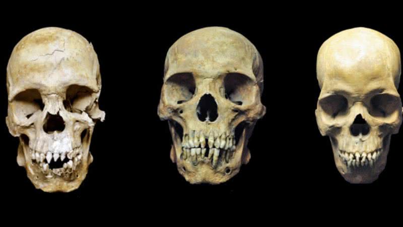 Imagem dos crânios encontrados na Cidade do México - Divulgação