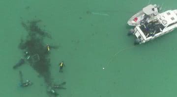 O naufrágio encontrado na Austrália - Universidade de Flinders