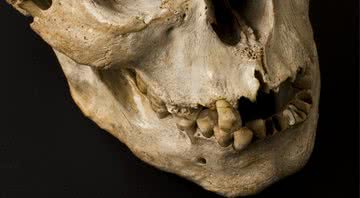 Crânio da Idade do Bronze - Wikimedia Commons