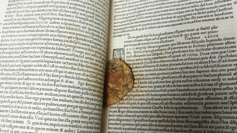 Manuscrito do século 16 com cookie entre suas páginas - Divulgação/ Twitter