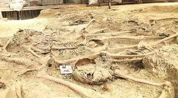 Alguns dos esqueletos encontrados em Istambul - Divulgação/Museus Arqueológicos de Istambul