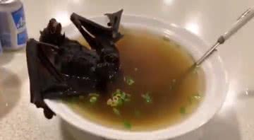 Sopa de morcego com curry, ervas e leite de coco - Divulgação/Twitter