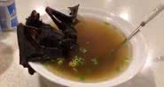 Sopa de morcego com curry, ervas e leite de coco - Divulgação/Twitter
