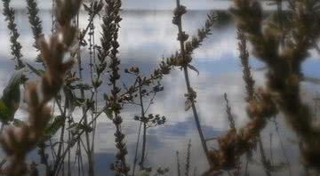 Foto ilustrativa do lago Coniston Water - Divulgação/ Youtube