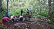 Escavadores voluntários na reserva florestal onde se localiza o forte picto - Divulgação / Perth and Kinross Heritage Trust