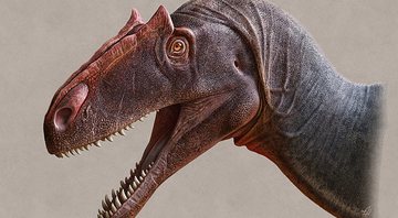 O dinossauro Allosaurus jimmadseni - Divulgação