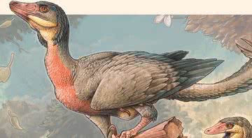 Ilustração de como seria um Overoraptor - Divulgação
