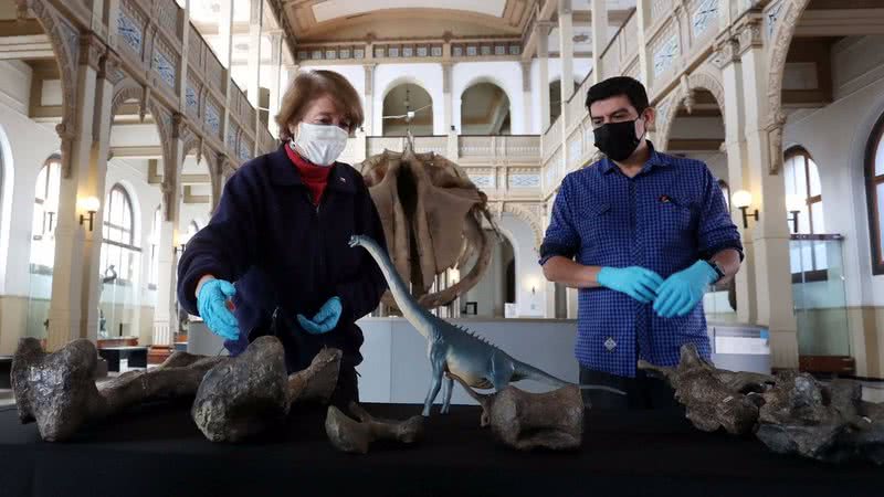 Pesquisadores examinam fósseis - Divulgação / Consuelo Valdes / Ministério da Cultura do Chile