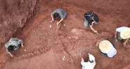 Esqueleto de dinossauro descoberto na China - Divulgação/AsiaWire