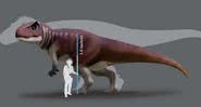 Representação do dinossauro carnívoro - Universidade de Queensland/Anthony Romilio