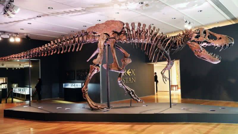 Esqueleto de Tiranossauro rex - Getty Images