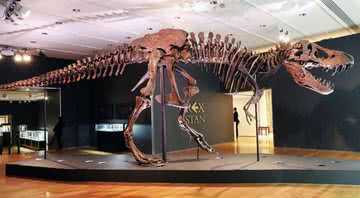 Esqueleto de Tiranossauro rex - Getty Images