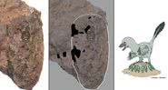 A formação fossilizada e uma ilustração da espécie de dinossauros - Universidade de Tsukuba / Museu da Natureza e Atividades Humanas