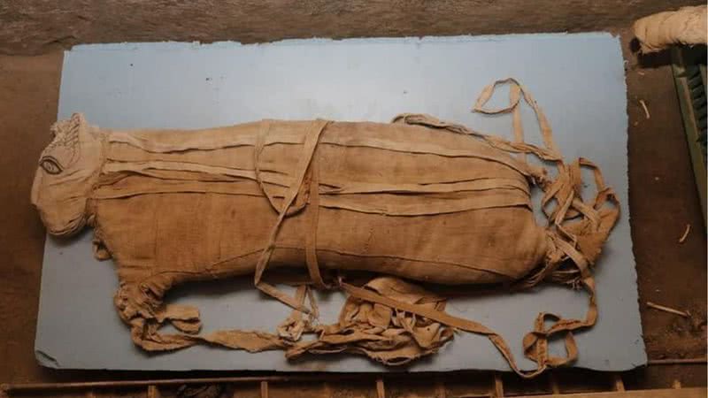 Múmia de leão descoberta no Egito - Divulgação - Ministério de Antiguidades do Egito