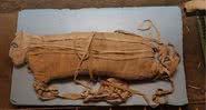 Múmia de leão descoberta no Egito - Divulgação - Ministério de Antiguidades do Egito