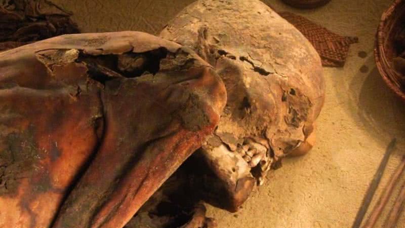 A Múmia de Turim, ou Fred, mais antigo embalsamento já encontrado no século 20 - Divulgação