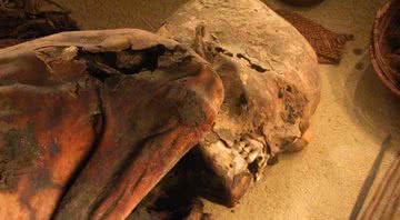 A Múmia de Turim, ou Fred, mais antigo embalsamento já encontrado no século 20 - Divulgação