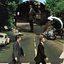 Detalhe do homem na capa do "Abbey Road" dos Beatles