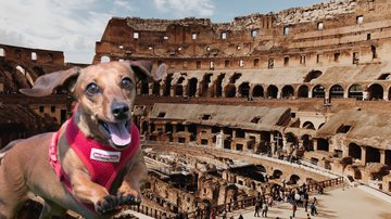 Imagem ilustrativa de cachorro salsicha - Getty Images e Ruína Do Coliseu