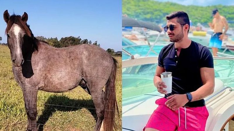 Diogo Machado e cavalo comprado em leilão - Divulgação/Redes Sociais