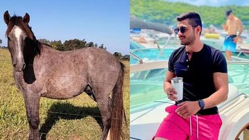 Diogo Machado e cavalo comprado em leilão - Divulgação/Redes Sociais