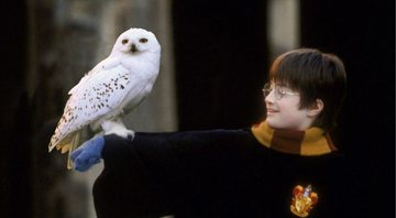 Daniel Radcliffe e a coruja Edwiges no primeiro filme da saga - Divulgação/Warner Bros. Pictures