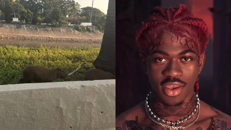 Á esquerda imagem das capivaras capturada pelo rapper e à esquerda Lil Nas X - Reprodução/Twitter e Reprodução/Vídeo
