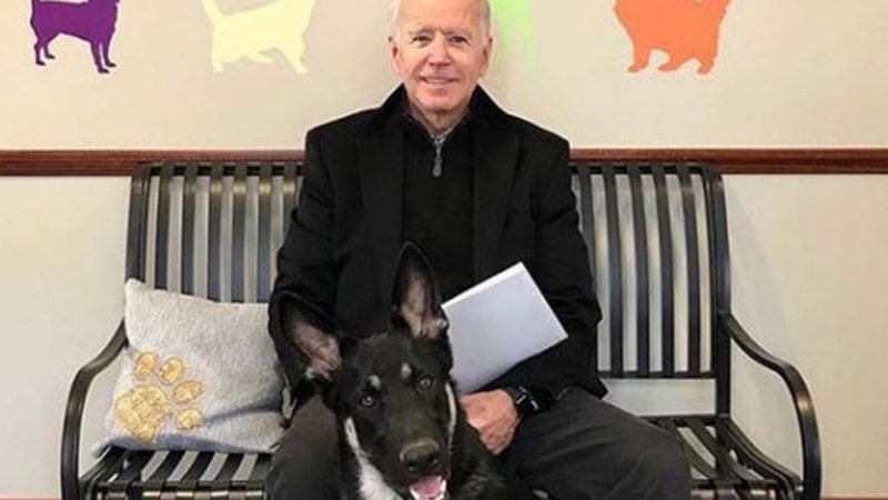 Joe Biden ao lado de seu cachorro Major - Divulgação/Instagram/Joe Biden