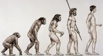 Imagem meramente ilustrativa de evolução humana - Divulgação