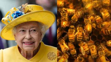À esquerda a rainha Elizabeth II e à direita imagem meramente ilustrativa de abelhas - GettyImages e Reprodução/Vídeo/Nossa Ecologia