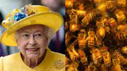 À esquerda a rainha Elizabeth II e à direita imagem meramente ilustrativa de abelhas - GettyImages e Reprodução/Vídeo/Nossa Ecologia