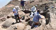 Os escavadores examinam os fósseis encontrados no leito seco - Divulgação / CEN / Incuapa-Conicet