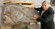 Julian Temperley e o fóssil do ictiossauro / Crédito: Richard Austin / SWNS