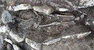 Um dos esqueletos encontrados no lugar - Crédito: Archaeology Wales