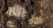 Vestígios de mosaico encontrado em Golã - Divulgação/Michael Azband