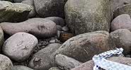 A granada de mão, alojada entre as pedras da praia - HM Coastguard Minehead