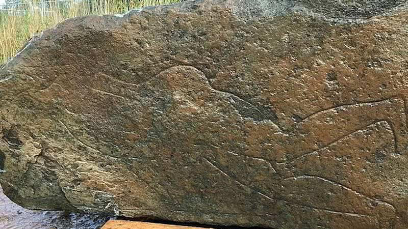 Pedra com a gravura do guerreiro picta encontrada - Universidade de Aberdeen