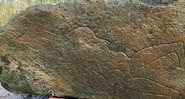 Pedra com a gravura do guerreiro picta encontrada - Universidade de Aberdeen