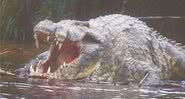Gustave, um dos maiores crocodilos da África Oriental - Divulgação