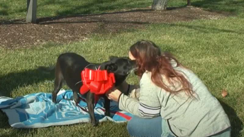 Lola reencontrou sua família após anos desaparecida - Divulgação/DuPage County Animal Services
