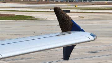 Imagem do avião com as abelhas em sua asa - Reprodução/Twitter