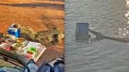 Crocodilo no momento em que invade o piquenique, na África do Sul (esq.) e crocodilo na água com a caixa térmica (dir.) - Reprodução/Vídeo