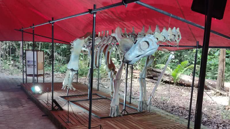 Aventuras na História · Museu da Amazônia apresenta reprodução do maior  crocodiliano do mundo