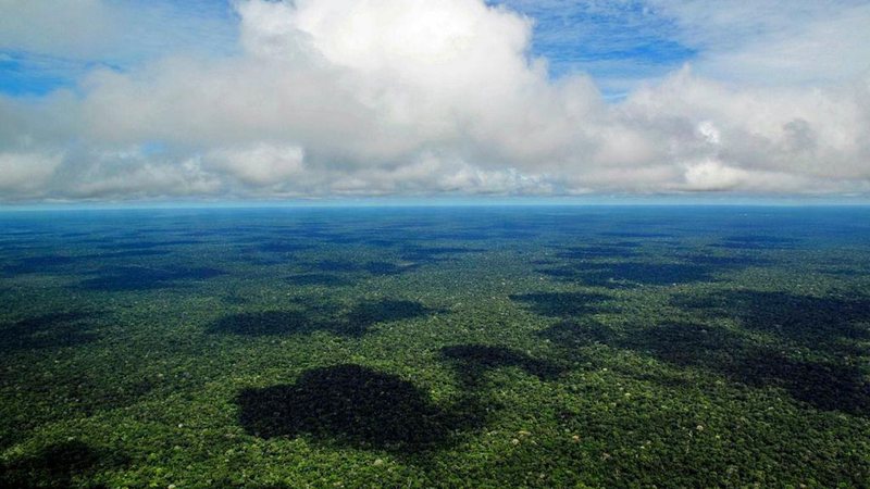 Foto aérea de uma pequena parte da Amazônia brasileira - Divulgação/Flickr