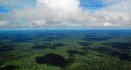 Foto aérea de uma pequena parte da Amazônia brasileira - Divulgação/Flickr